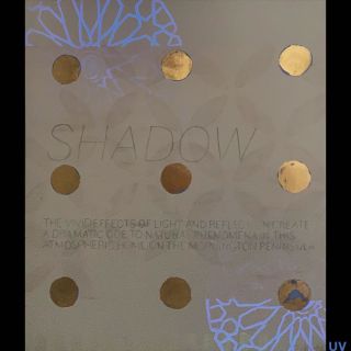 Shadow / 2023 / Acryl and imitation gold leaf on canvas / 120 x 140 cm / UV